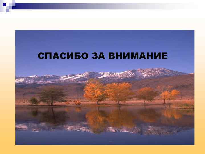 СПАСИБО ЗА ВНИМАНИЕ 