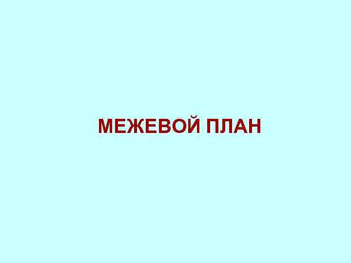 МЕЖЕВОЙ ПЛАН 