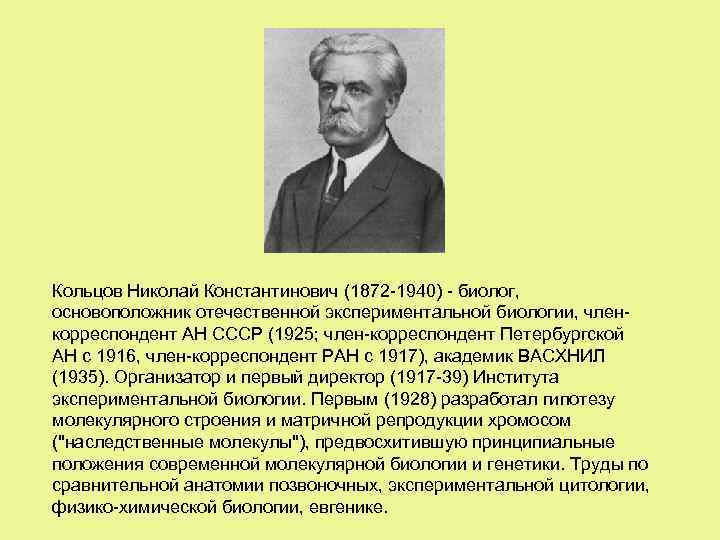 Кольцов Николай Константинович (1872 -1940) - биолог, основоположник отечественной экспериментальной биологии, членкорреспондент АН СССР