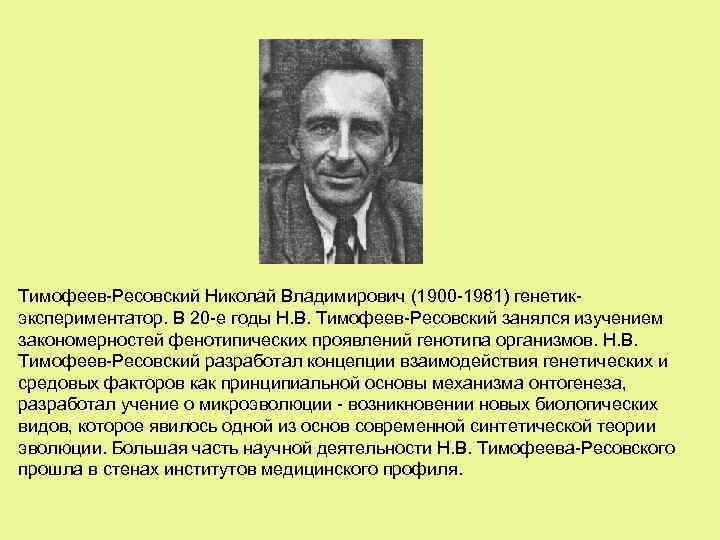 Тимофеев-Ресовский Николай Владимирович (1900 -1981) генетикэкспериментатор. В 20 -е годы Н. В. Тимофеев-Ресовский занялся