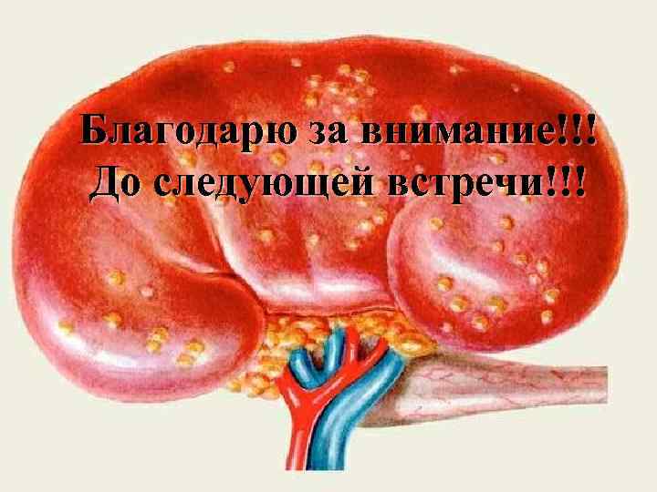 Благодарю за внимание!!! До следующей встречи!!! 