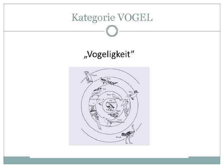 Kategorie VOGEL 