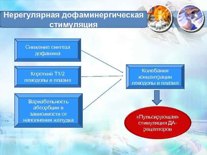 Нерегулярная дофаминергическая стимуляция Снижение синтеза дофамина Короткий Т 1/2 леводопы в плазме Вариабельность абсорбции