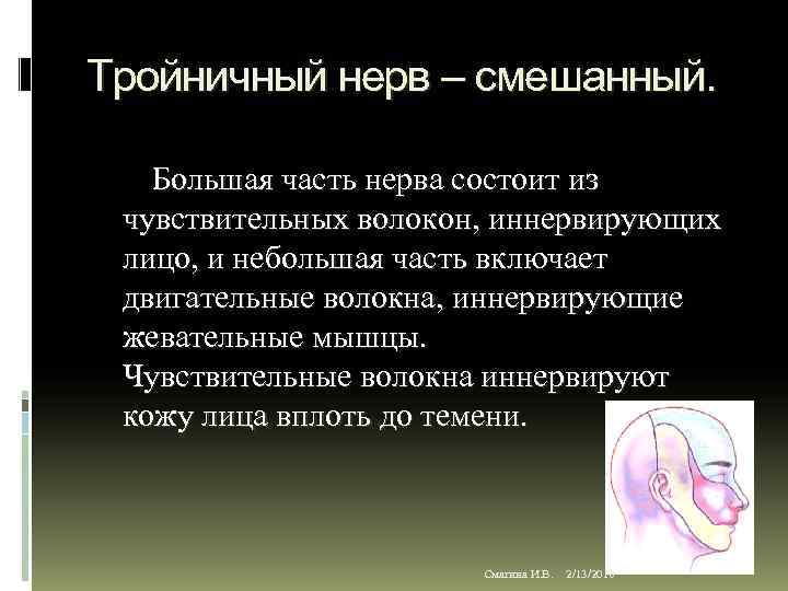 Тройничный нерв – смешанный. Большая часть нерва состоит из чувствительных волокон, иннервирующих лицо, и