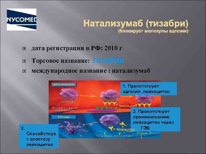 Натализумаб (тизабри) (блокирует молекулы адгезии) дата регистрации в РФ: 2010 г Торговое название: тизабри