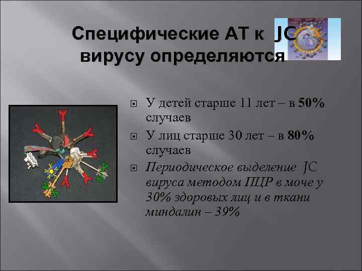 Специфические АТ к JC вирусу определяются У детей старше 11 лет – в 50%