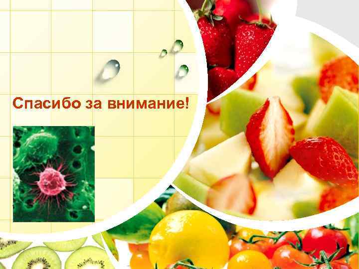 Спасибо за внимание! L/O/G/O www. themegallery. com 