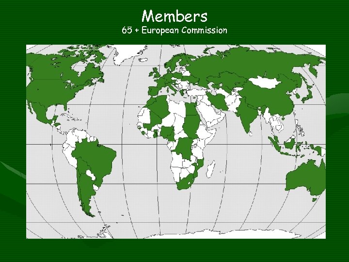 Members 65 + European Commission 