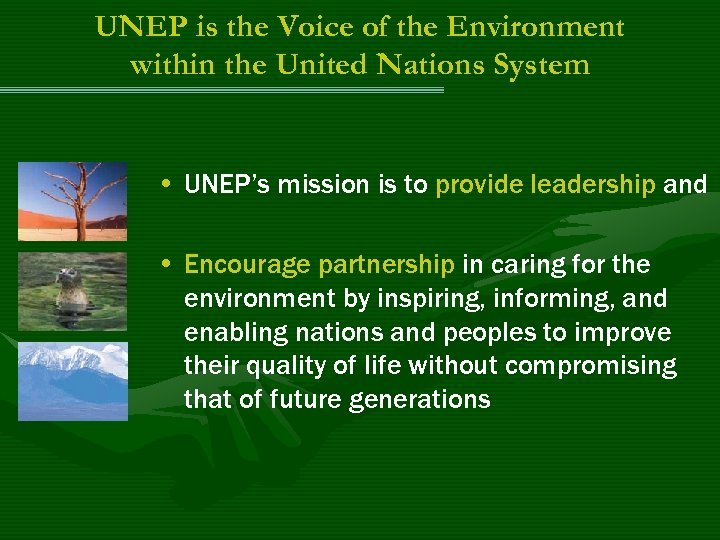 UNEP is the Voice of the Environment within the United Nations System • UNEP’s