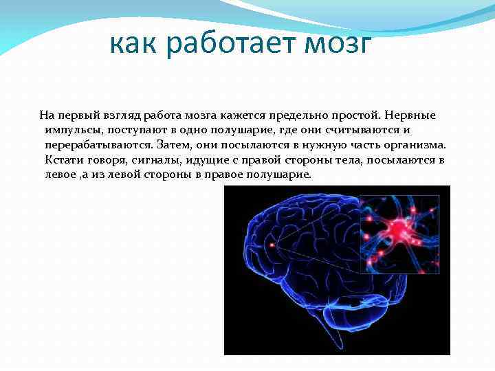 Управление импульс мозга. Мозг для презентации. Поступление информации в мозг. Информация поступает в мозг. Импульсы головного мозга.