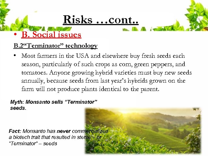 Risks …cont. . • B. Social issues B. 2“Terminator” technology • Most farmers in