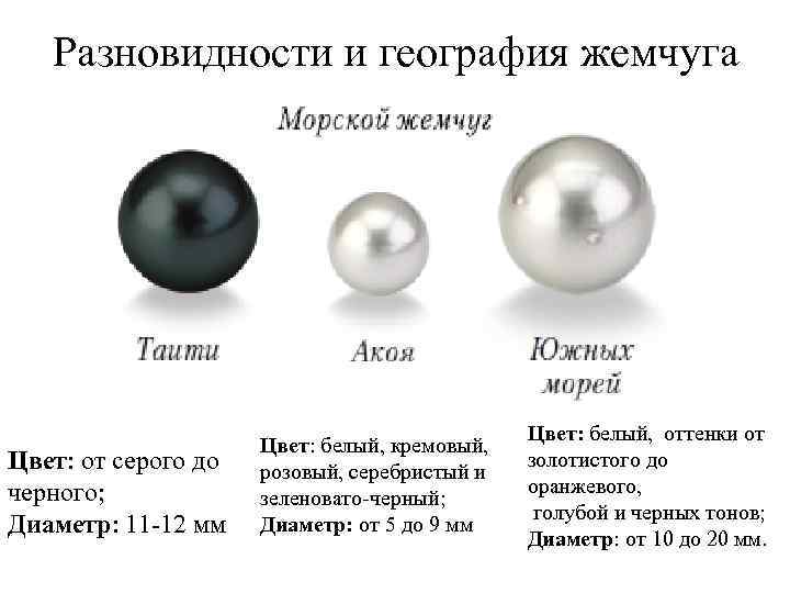 Разновидности и география жемчуга Цвет: от серого до черного; Диаметр: 11 -12 мм Цвет: