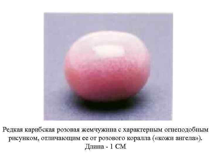 Редкая карибская розовая жемчужина с характерным огнеподобным рисунком, отличающим ее от розового коралла (
