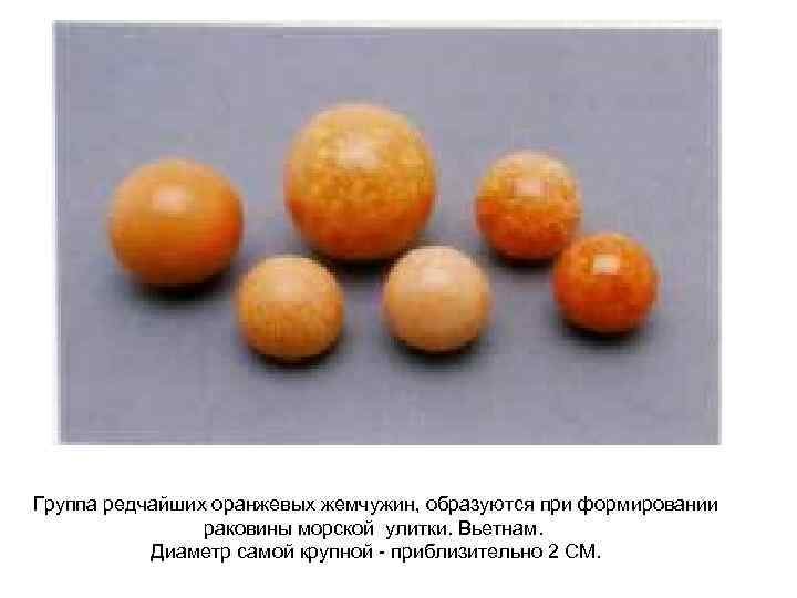 Группа редчайших оранжевых жемчужин, образуются при формировании раковины морской улитки. Вьетнам. Диаметр самой крупной