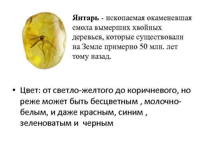 Янтарь - ископаемая окаменевшая смола вымерших хвойных деревьев, которые существовали на Земле примерно 50