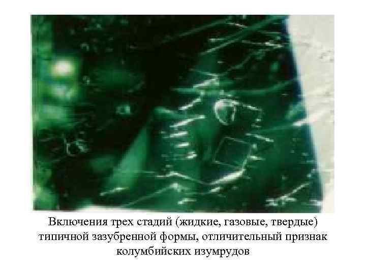 Включения трех стадий (жидкие, газовые, твердые) типичной зазубренной формы, отличительный признак колумбийских изумрудов 