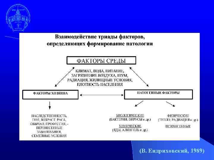 (В. Ендриховский, 1989) 