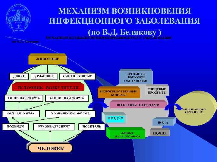 МЕХАНИЗМ ВОЗНИКНОВЕНИЯ ИНФЕКЦИОННОГО ЗАБОЛЕВАНИЯ (по В. Д. Белякову ) 