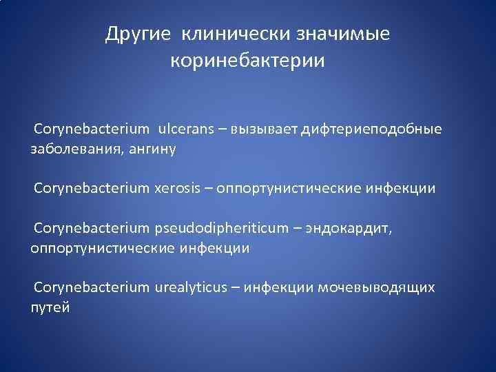 Другие клинически значимые коринебактерии Corynebacterium ulcerans – вызывает дифтериеподобные заболевания, ангину Corynebacterium хerosis –