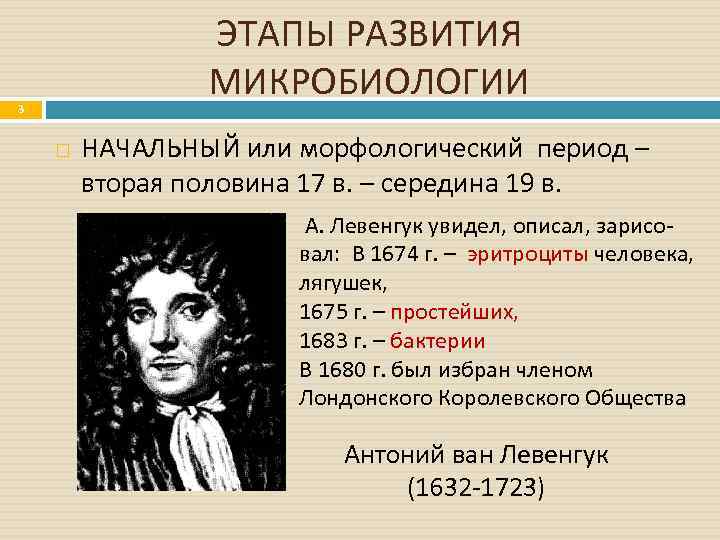 Период этап. Морфологический период развития микробиологии. Морфологический этап развития микробиологии. Этапы развития микробиологии. Начальный период развития микробиологии.