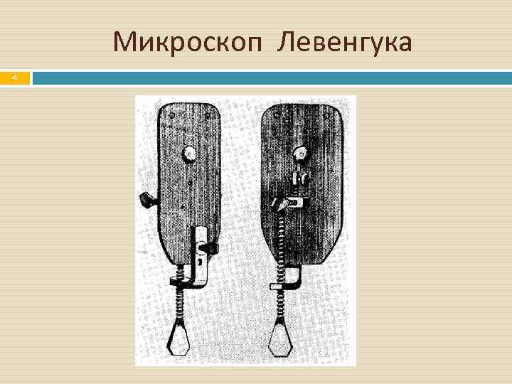 Микроскоп левенгука. Микроскоп Левенгука строение. Самый первый микроскоп Левенгук. Микроскоп Левенгука XVII века с увеличением до 300x. Микроскоп Левенгука история.