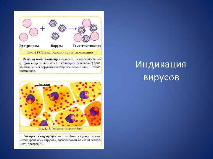 Метод цветной реакции