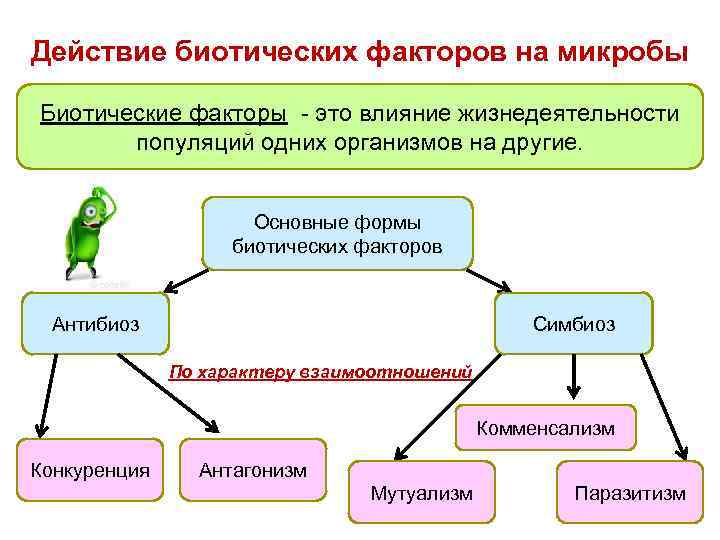 Взаимосвязь экологических факторов схема