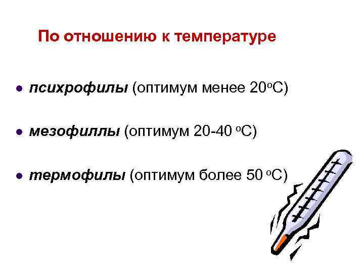По отношению к температуре l психрофилы (оптимум менее 20 о. С) l мезофиллы (оптимум