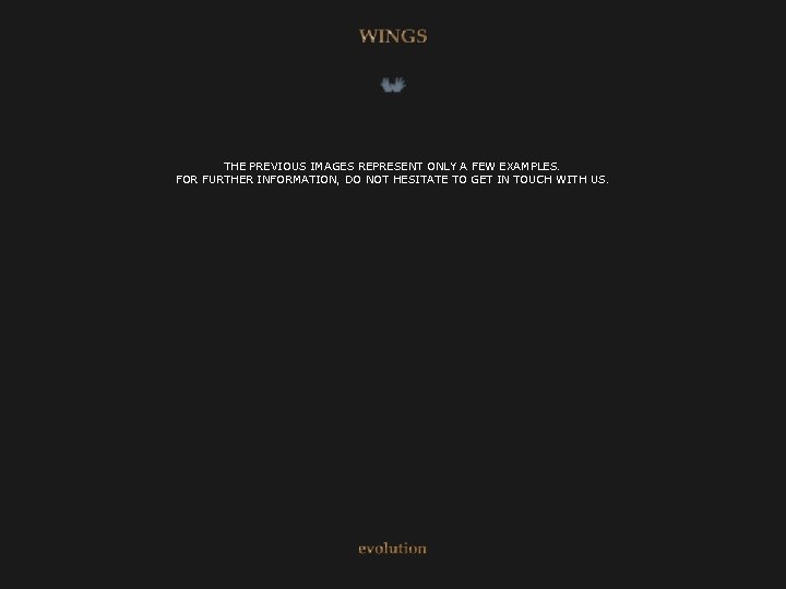 THE PREVIOUS IMAGES REPRESENT ONLY A FEW EXAMPLES. FOR FURTHER INFORMATION, DO NOT HESITATE