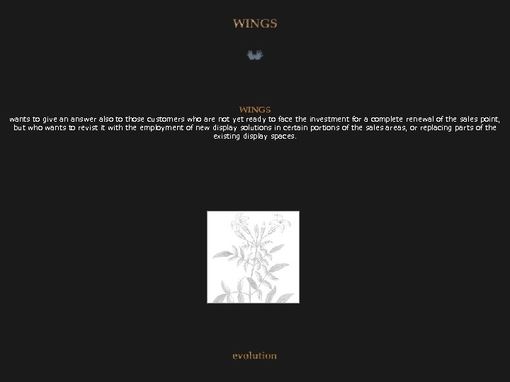 WINGS wants to give an answer also to those customers who are not yet