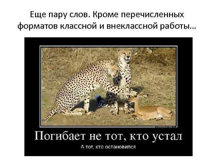 Еще пару слов. Кроме перечисленных форматов классной и внеклассной работы… 