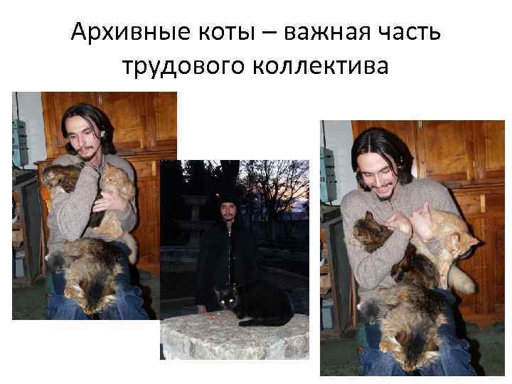 Архивные коты – важная часть трудового коллектива 