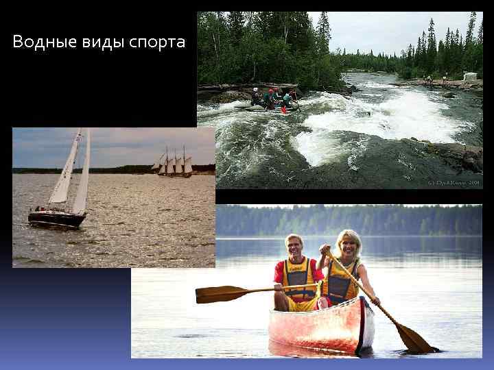 Водные виды спорта 