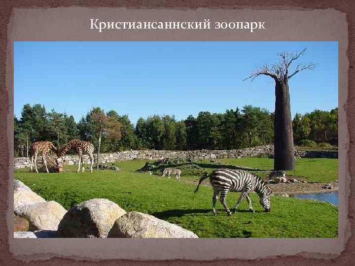 Кристиансаннский зоопарк 