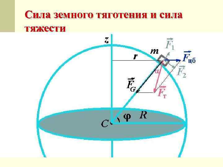 Сила земного тяготения и сила тяжести 