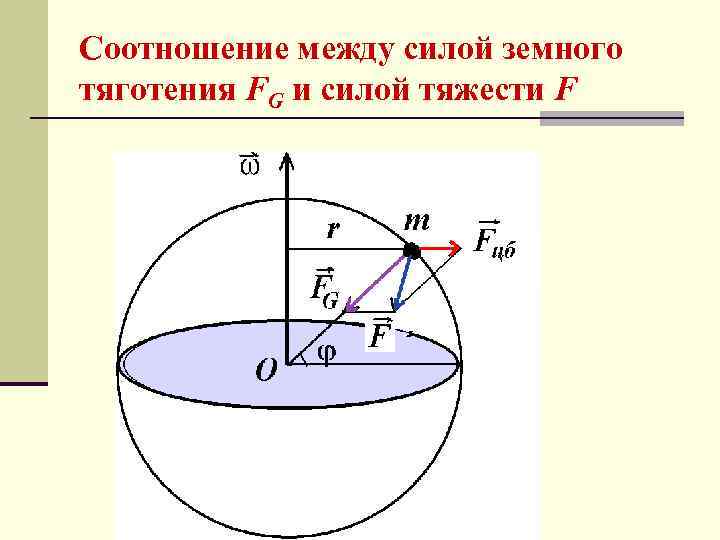 Соотношение между силой земного тяготения FG и силой тяжести F 