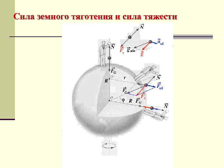 Сила земного тяготения и сила тяжести 