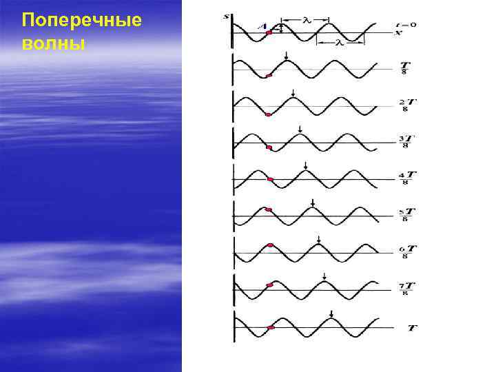 Поперечные волны 