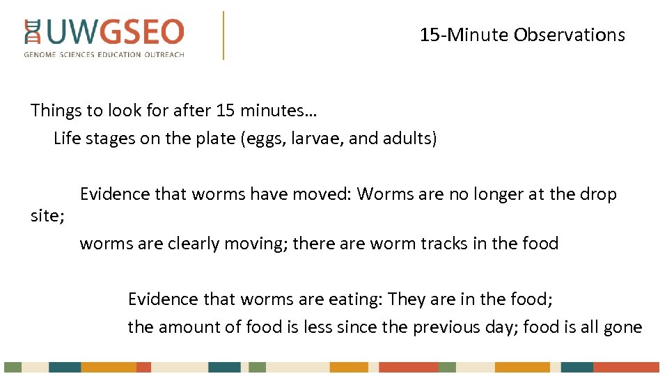 15 -Minute Observations Things to look for after 15 minutes… Life stages on the
