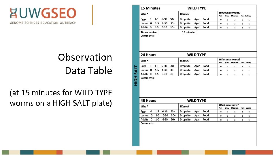 Observation Data Table (at 15 minutes for WILD TYPE worms on a HIGH SALT