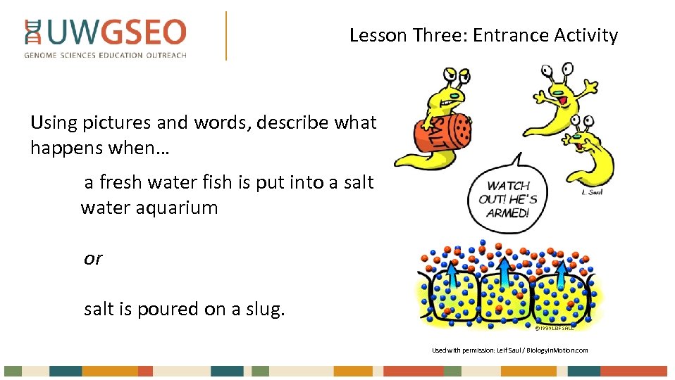 Lesson Three: Entrance Activity Using pictures and words, describe what happens when… a fresh