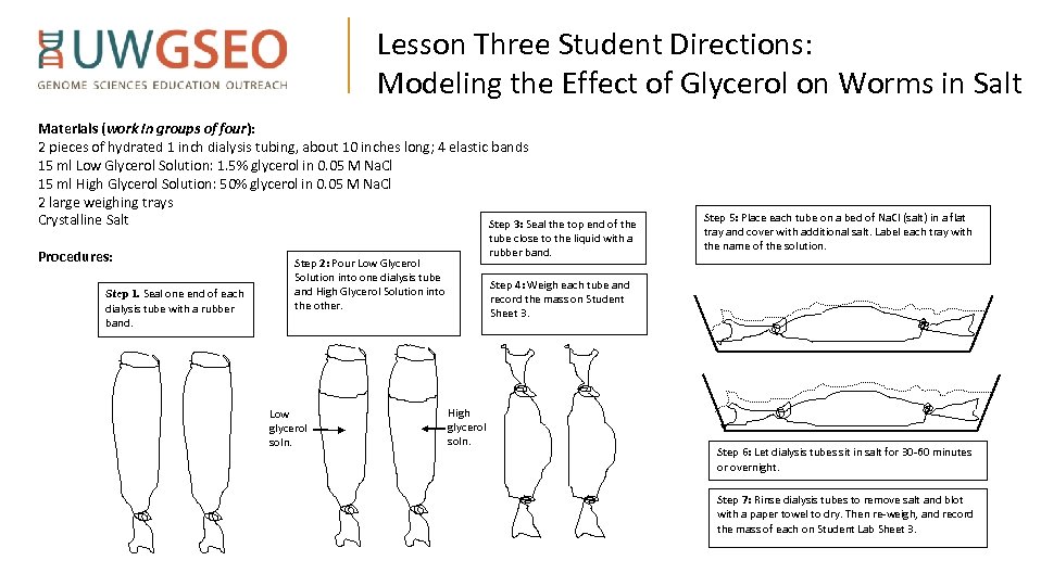 Lesson Three Student Directions: Modeling the Effect of Glycerol on Worms in Salt Materials