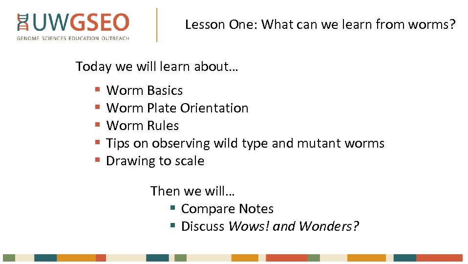 Lesson One: What can we learn from worms? Today we will learn about… §