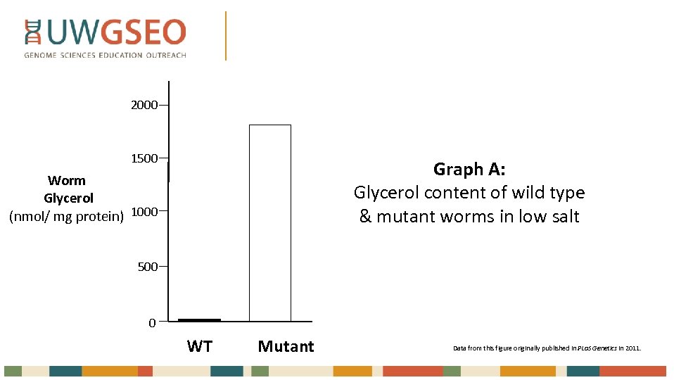 2000 1500 Graph A: Glycerol content of wild type & mutant worms in low
