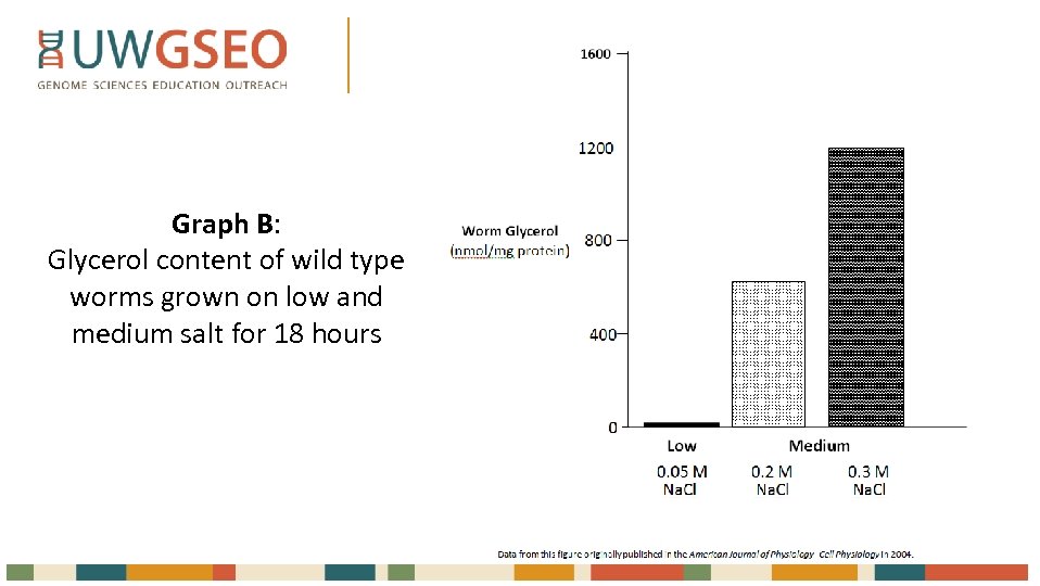 Graph B: Glycerol content of wild type worms grown on low and medium salt
