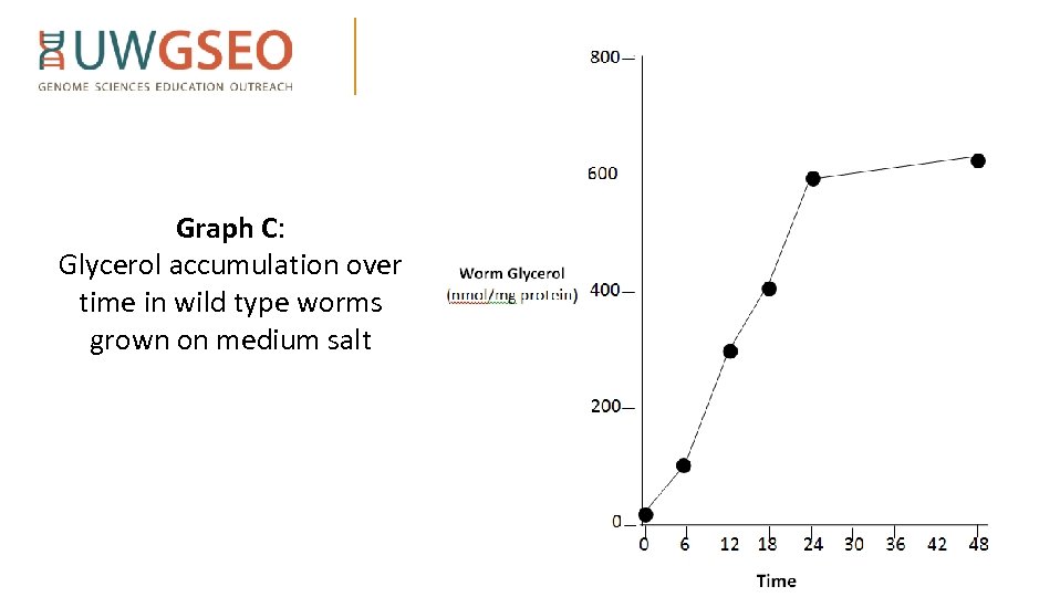 Graph C: Glycerol accumulation over time in wild type worms grown on medium salt