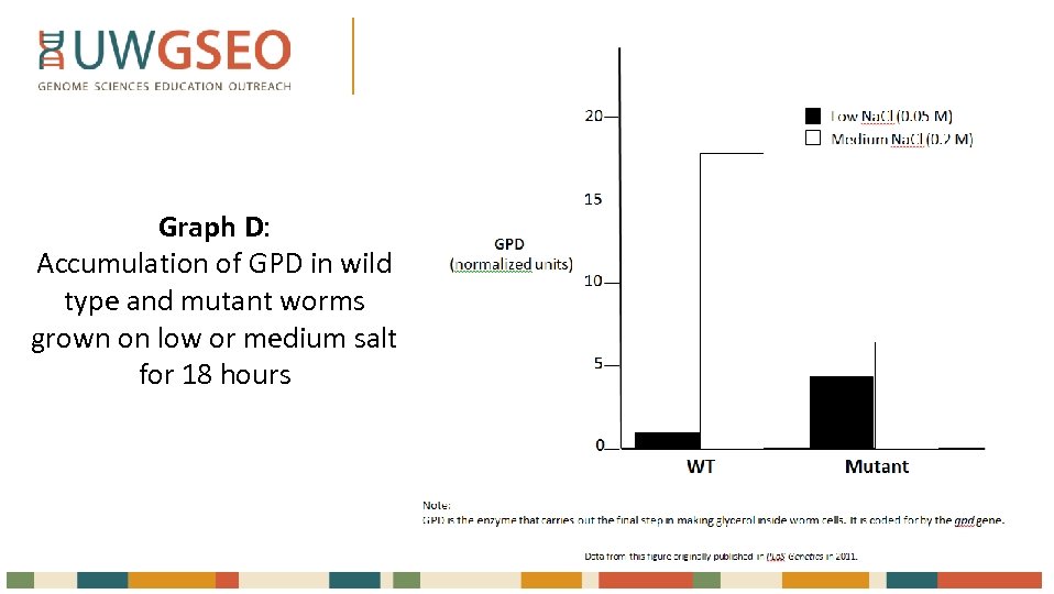 Graph D: Accumulation of GPD in wild type and mutant worms grown on low