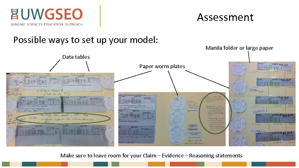 Assessment Possible ways to set up your model: Manila folder or large paper Data