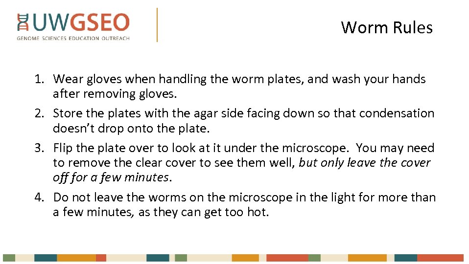 Worm Rules 1. Wear gloves when handling the worm plates, and wash your hands