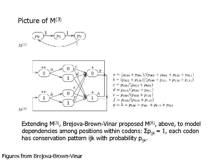Picture of M(3) Extending M(3), Brejova-Brown-Vinar proposed M(8), above, to model dependencies among positions